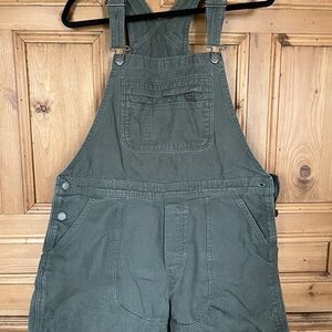 Patagonia Shortalls